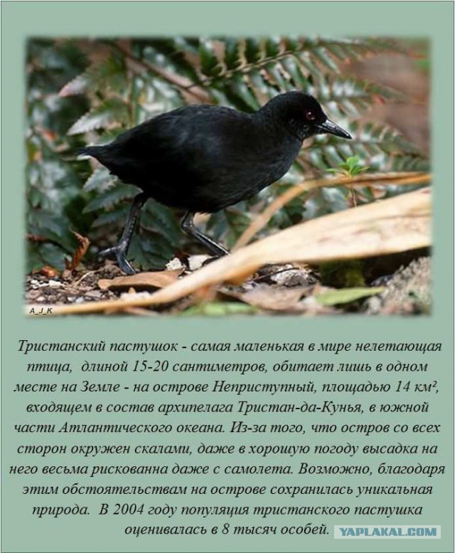 20 фактов обо всем