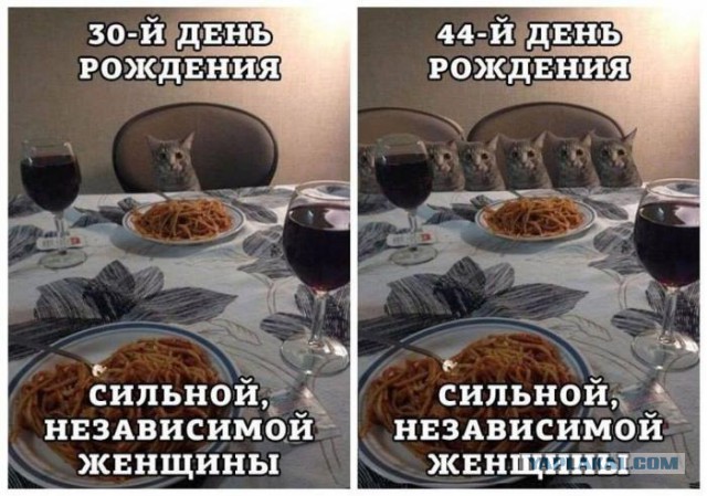 Бюджетный отдых в Египте (февраль 2015)