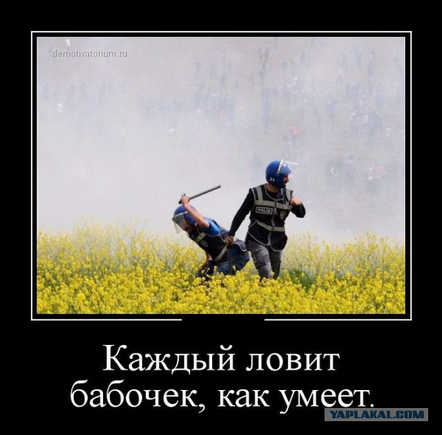 Просто картинки