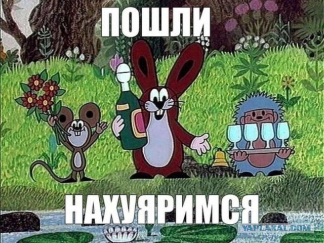 Отказ от алкоголя ведет к ранней смерти