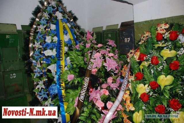 Жители Николаева грозят мажорам самосудом.