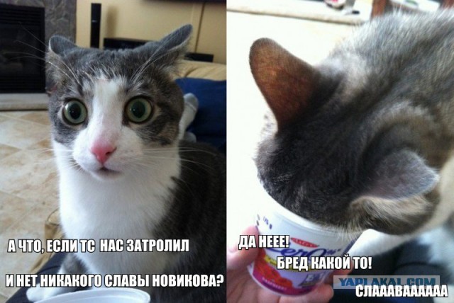 У меня грустные новости для соЯПовца. Слава Новиков тут есть?
