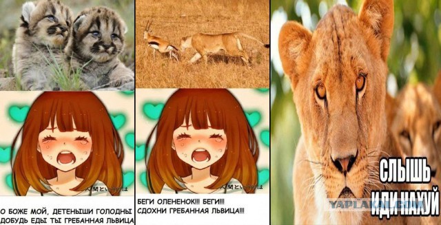 Подборка интересных и прикольных фото
