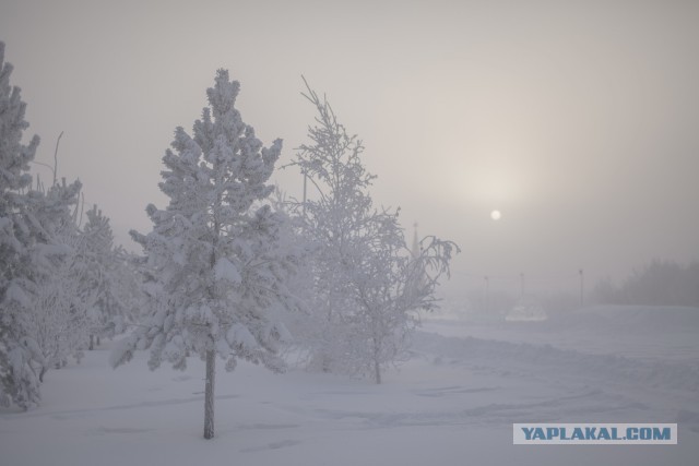 Сургут в -50 в картинках.