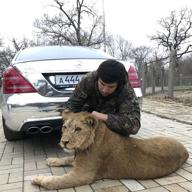 Набористый набор картинок
