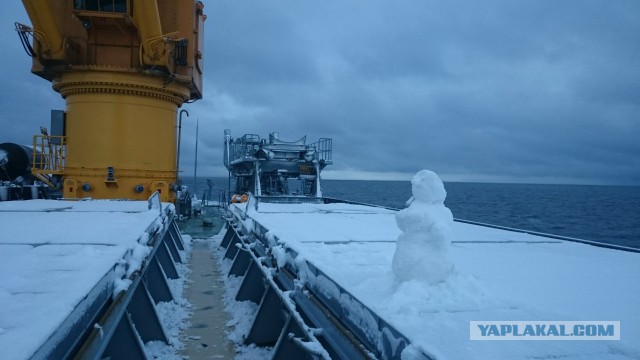 Центр Судоремонта "Звездочка"