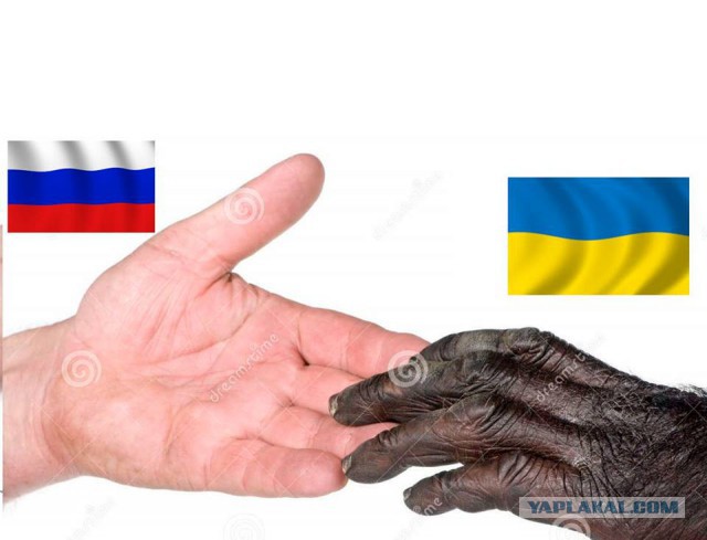 "Прямо до слез": семья из Крыма тронула украинцев рассказом о жизни в оккупации