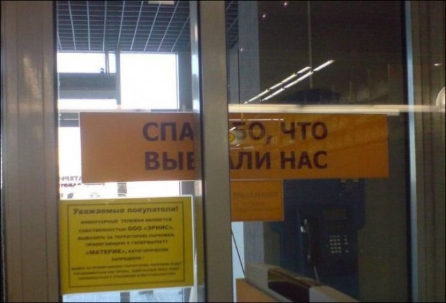 150 картинок для поднятия настроения!