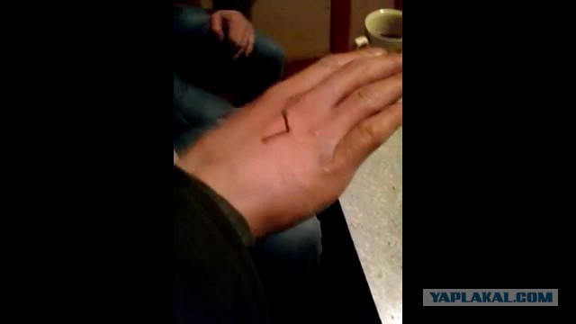 Опознаём предмет