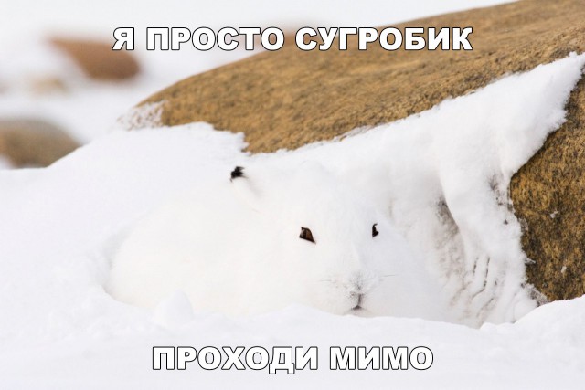 Нестандартный юмор