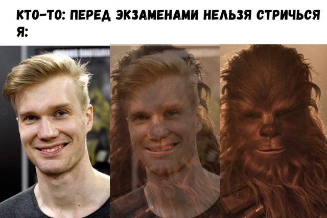 Прикольные картинки обо всем