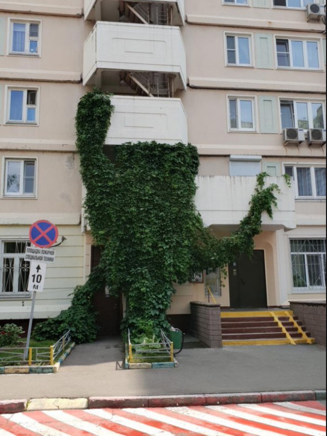 Картинки по-приколу