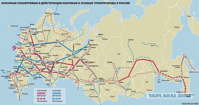 Минобороны предложило конфисковать личные автомобили россиян в случае объявления военного положения в стране