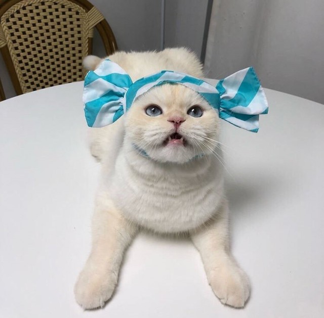 Немного милоты