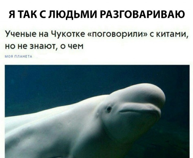 Нестандартный юмор