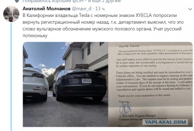 Анекдоты, соц-сети, истории и картинки с надписями