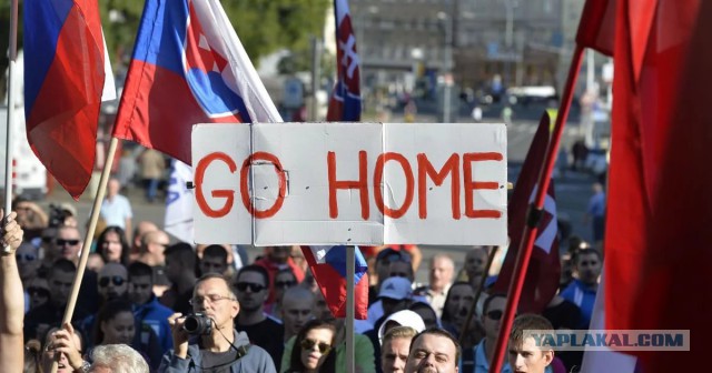 Профессор Рууд Купманс: «Ни одной западной стране не удалось интегрировать мусульман»