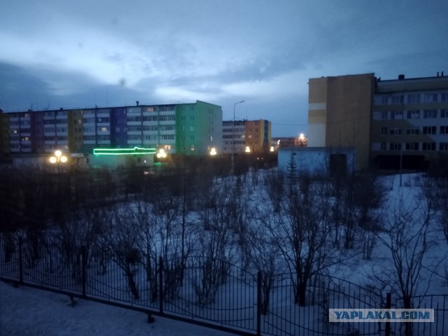 Лето, делимся видом из окна