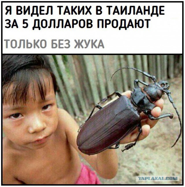 Аморалка
