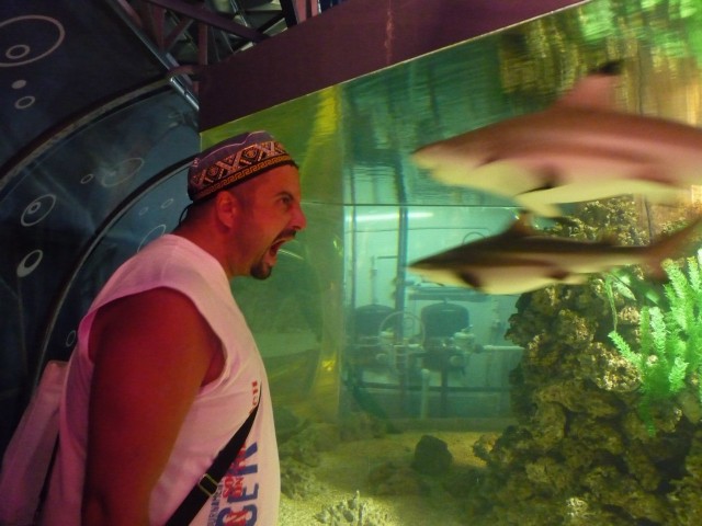 Аватары на заказ