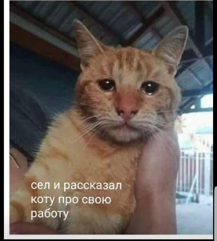 Немного картинок для настроения 29.10.19