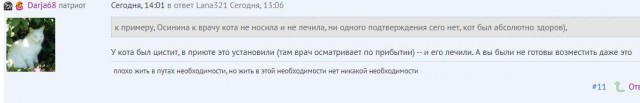 Помогите вернуть кота! Приют "Преданное сердце" украл кота и не отдает!-2