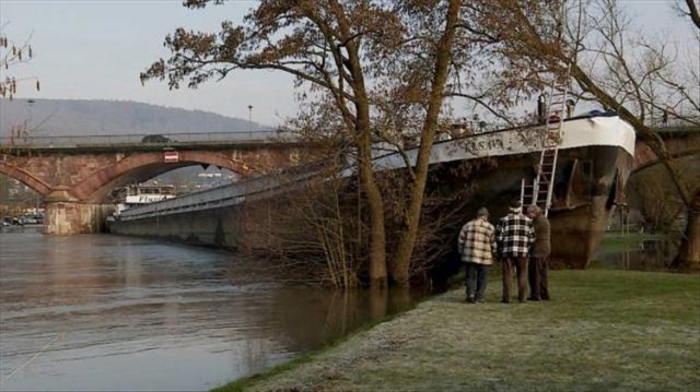 Прикольные картинки и фото 10.12.19