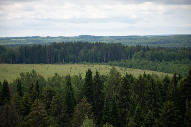 Деревенская Америка - 6
