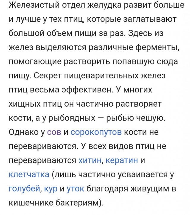 Я больше никогда не смогу смотреть не чаек по-прежнему