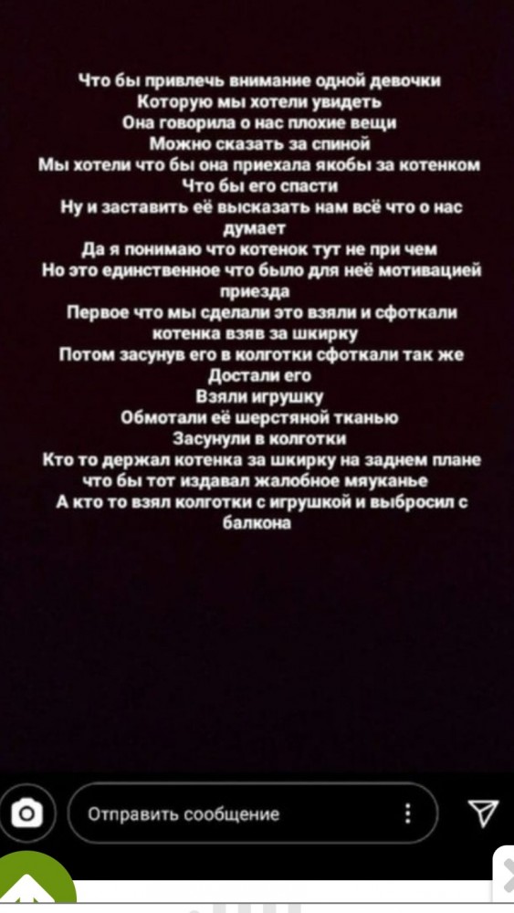 Живодеры издевались над котятами