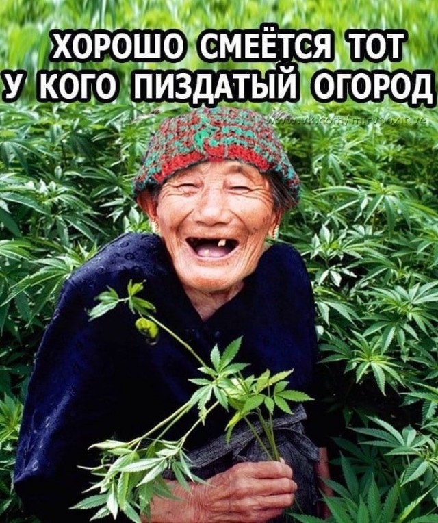 Прикольные и просто красивые картинки 10.09.2020
