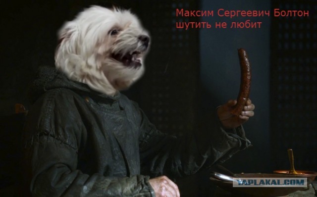 Максим Сергеич шутить не любит