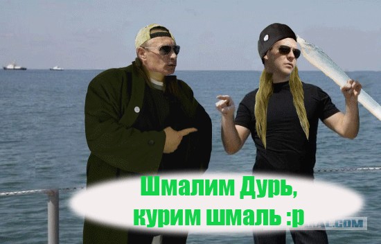 Медведев в образе