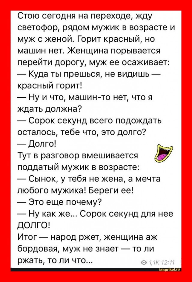 Веселые истории о нас №237