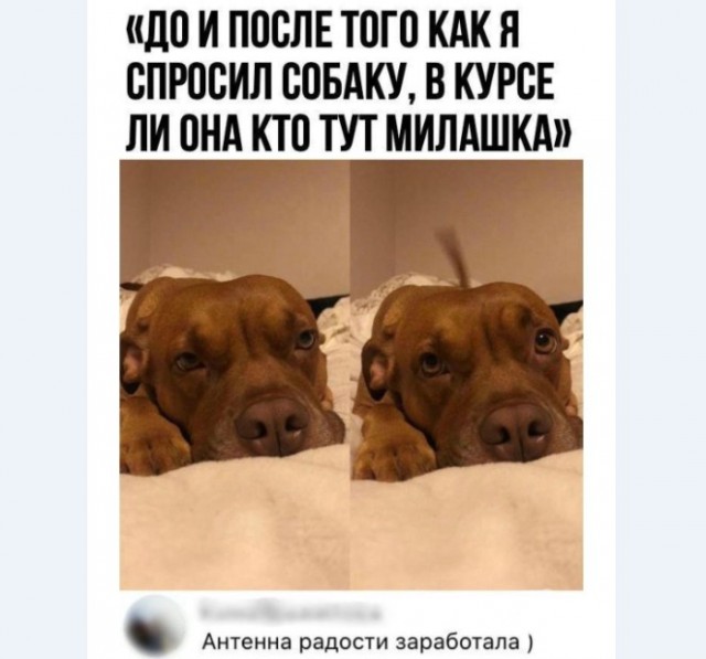 Картинки и мемы для настроения 009