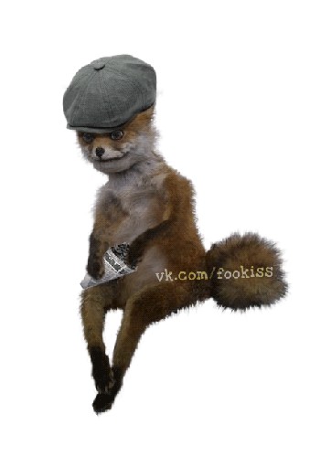 Таксидермия + наркомания