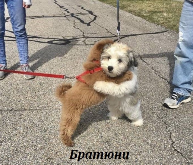 Картинки и мемы для настроения