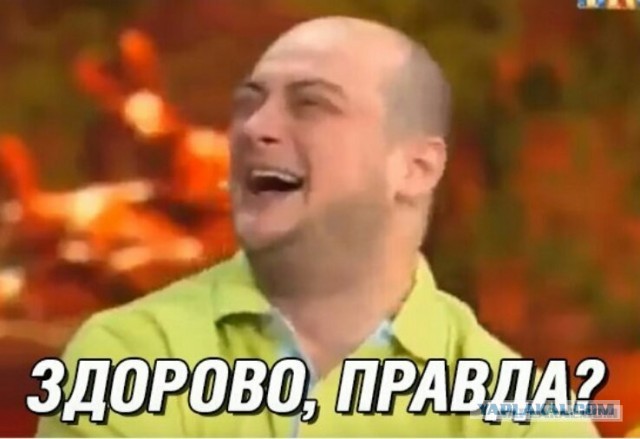15555864.jpg
