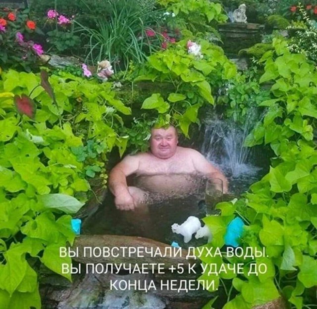 Картинки и мемы для настроения 026