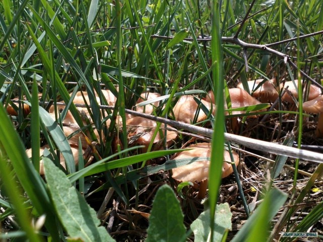 Пятничные посиделки на теплотрассе ©