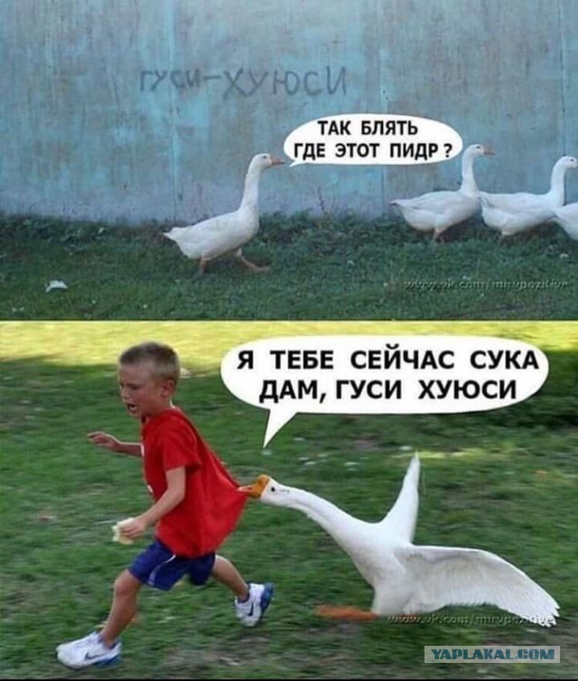 В Магадане нашли мертвым депутата c фотографии с тушами убитых гусей