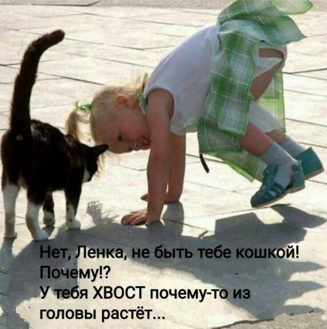 Картинки всяческие 10.01.2022