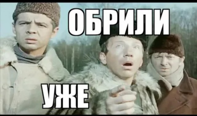 Возвращение блудного попугая