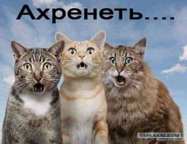 Минобороны опубликовало карту освобожденных территорий на Донбассе