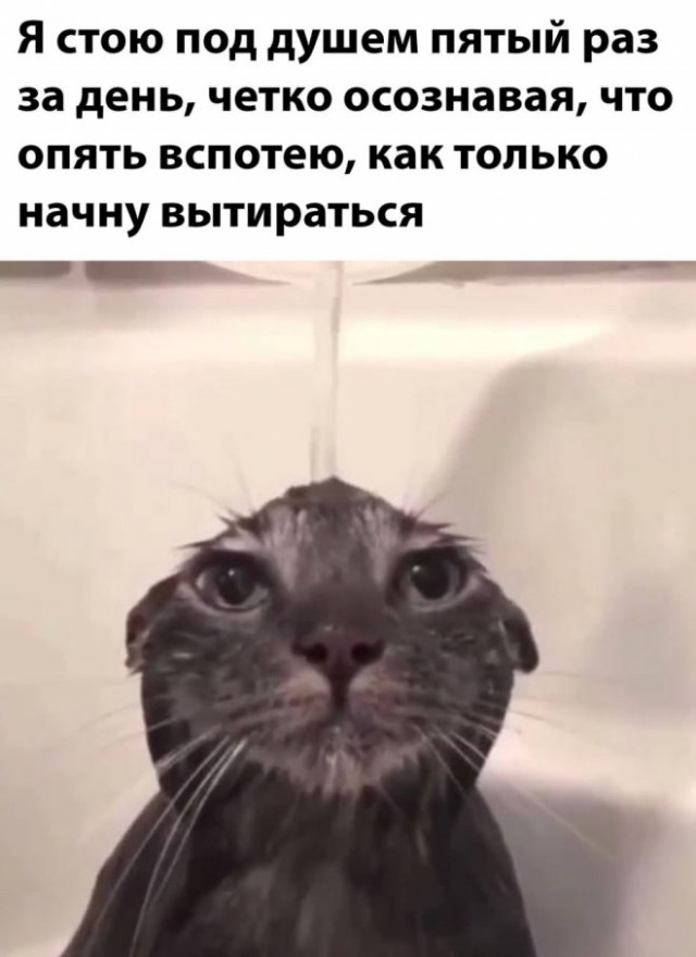 Картинки и мемы для настроения - 19