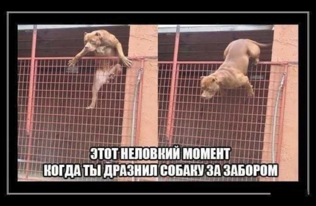Это была плохая шутка