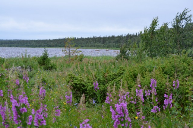 Север в сердце моём!