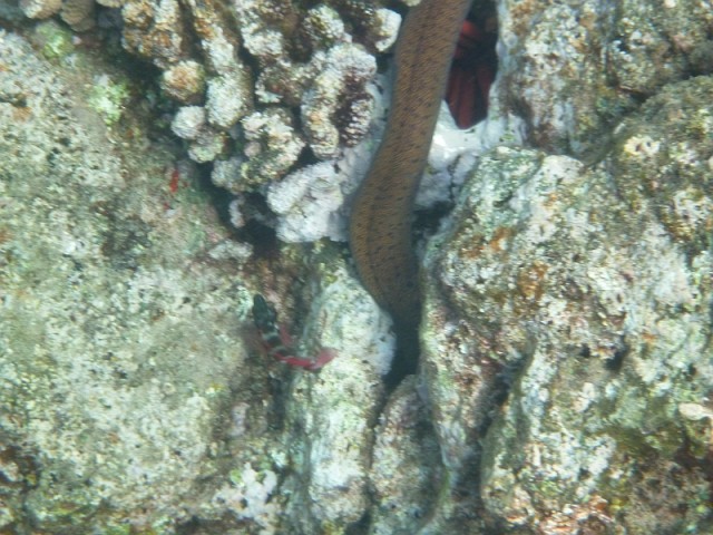 Деревенская Америка