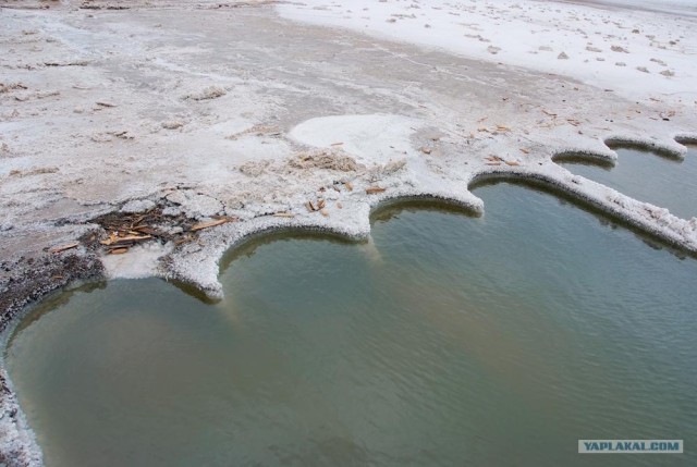 Вот в чем вся соль!