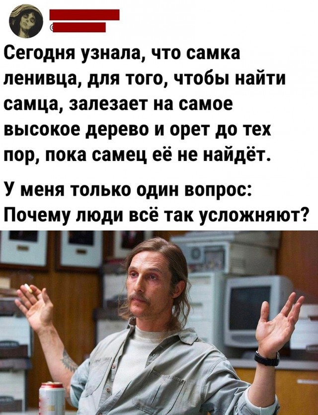 Так себе картинки 21.09.22